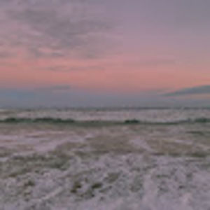 Meet your Posher, Abigail